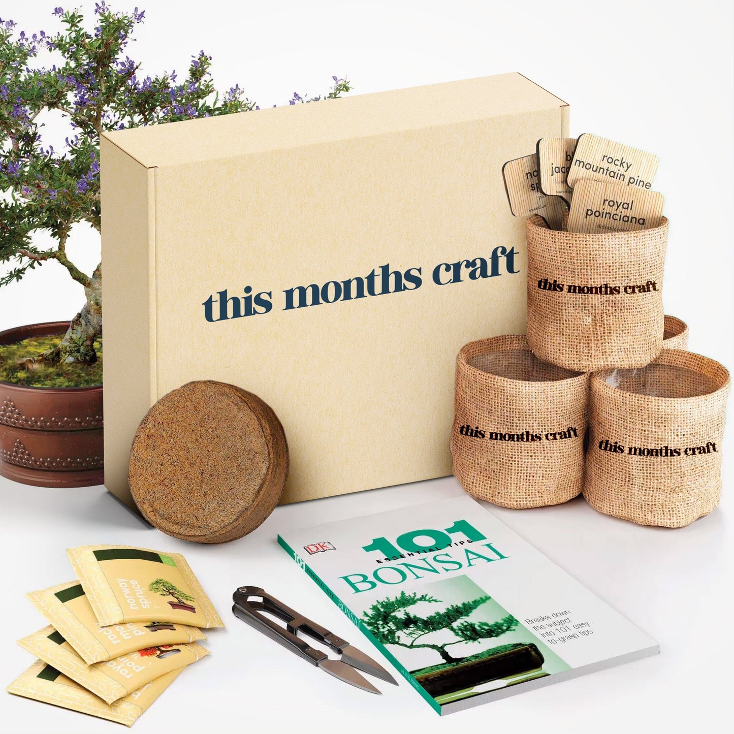 This Month's Craft DIY Subscription Box 2