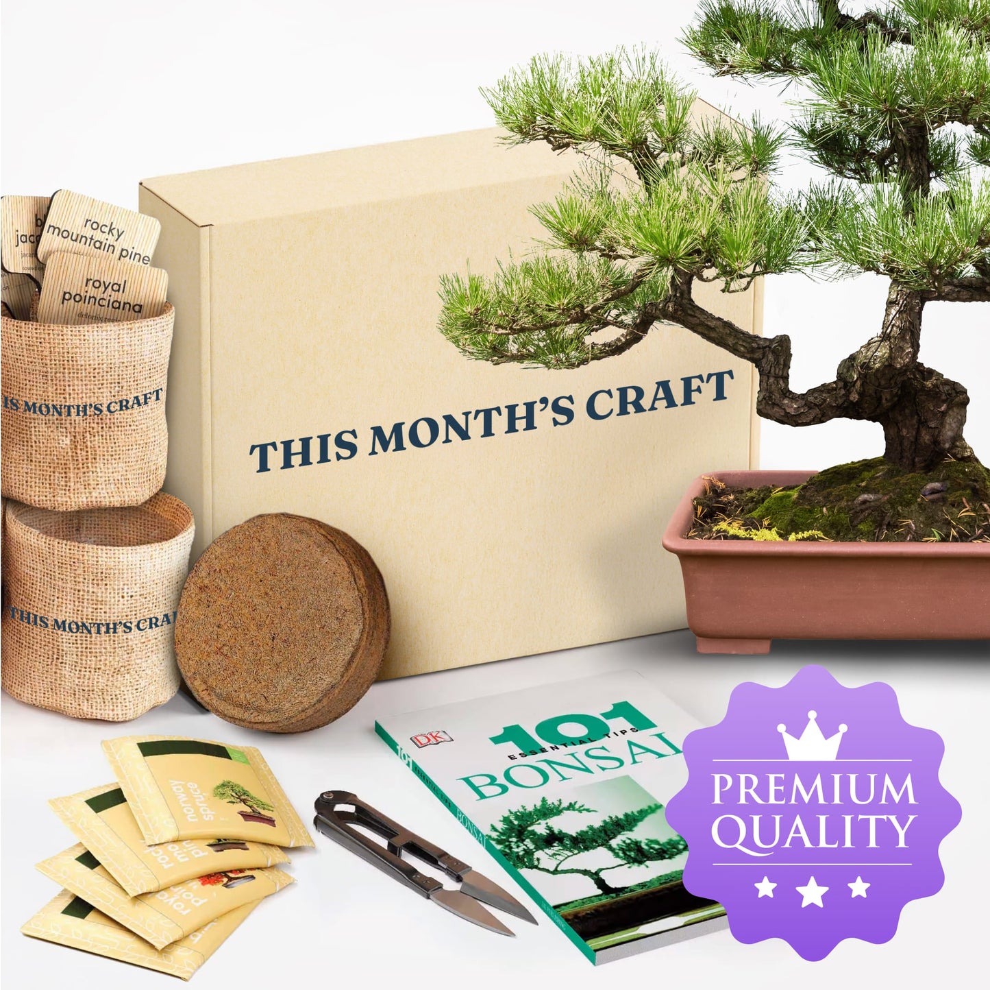 This Month’s Craft Subscription Box - Together